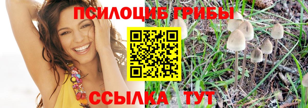 Шатура  Псилоцибиновые грибы ЛСД  Вход с VPN  Галлюциногенные грибы GOLDEN TEACHER 